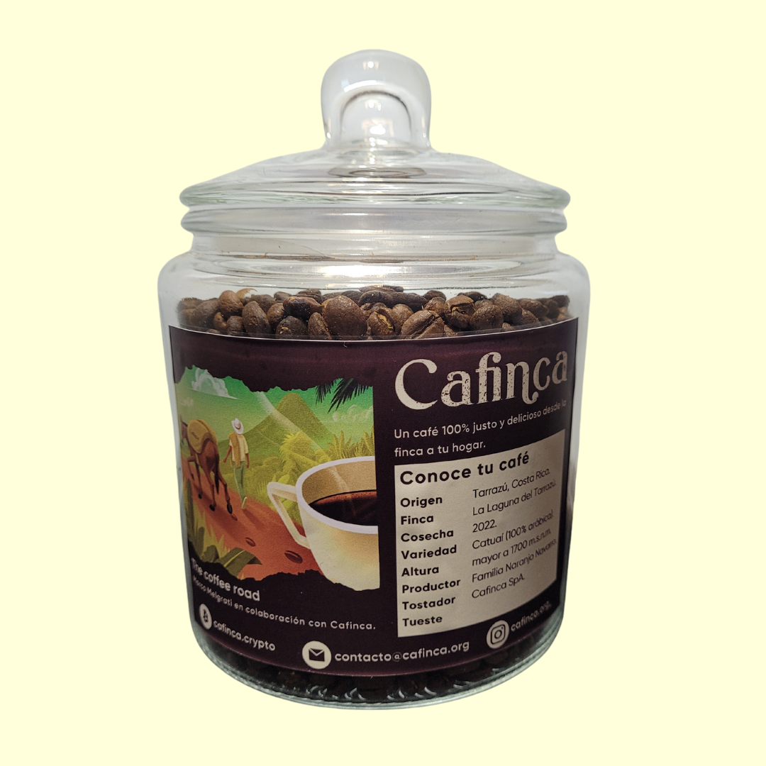 300 grs café Tarrazú + canister