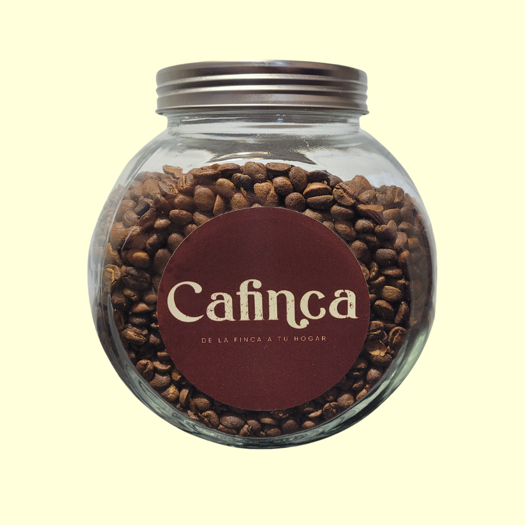 500 grs café Tarrazú + canister